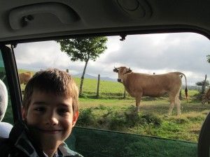 IMG_3412